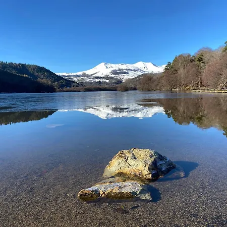 La Grange Saillant Nectaire *