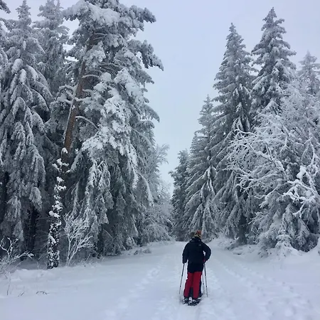 La Grange Saillant Nectaire サン・ネクテール