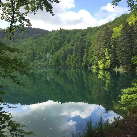 La Grange Saillant Nectaire *