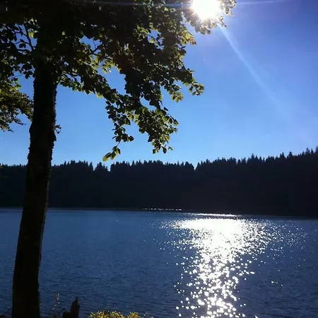 La Grange Saillant Nectaire サン・ネクテール