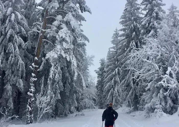 La Grange Saillant Nectaire Saint-Nectaire