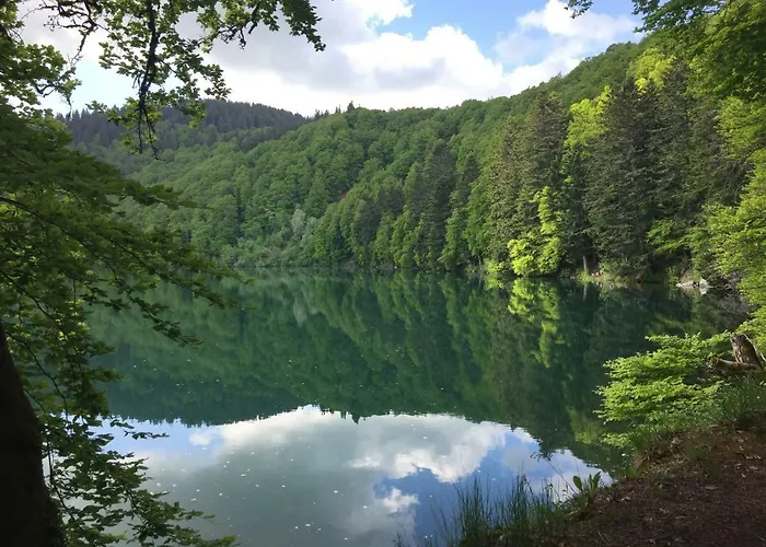 La Grange Saillant Nectaire *